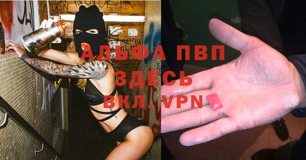 твердый Белокуриха
