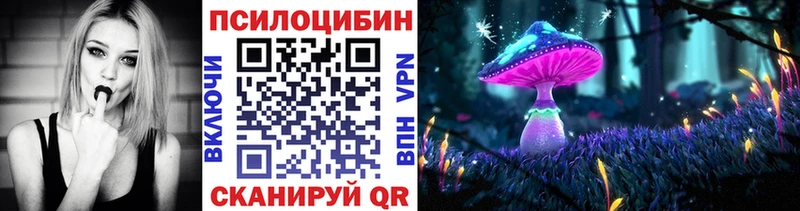 Псилоцибиновые грибы GOLDEN TEACHER  darknet телеграм  Ахтырский  наркошоп 